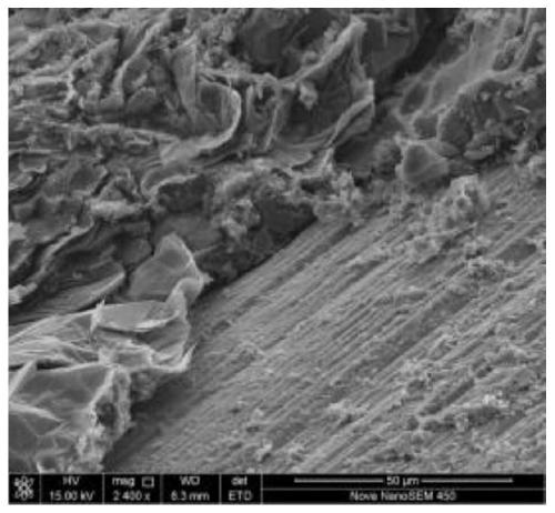 Low-carbon ultra-low-carbon carbon-containing refractory material containing in-situ peeled two-dimensional micro-nano graphite flake phenolic resin composition, and preparation method thereof