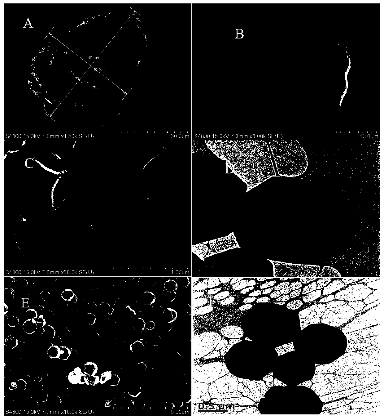 Method for preparing immobilized enzyme from zeolite imidazate skeleton compound