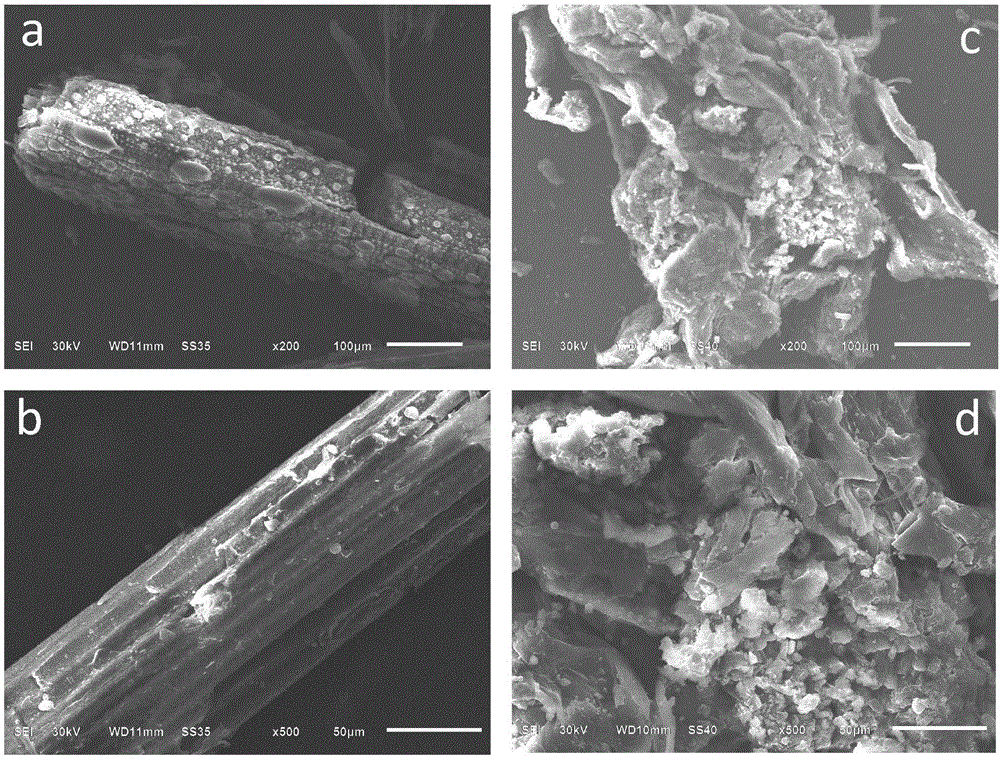 Biological-ionic liquid combined pretreatment method of lignocellulose