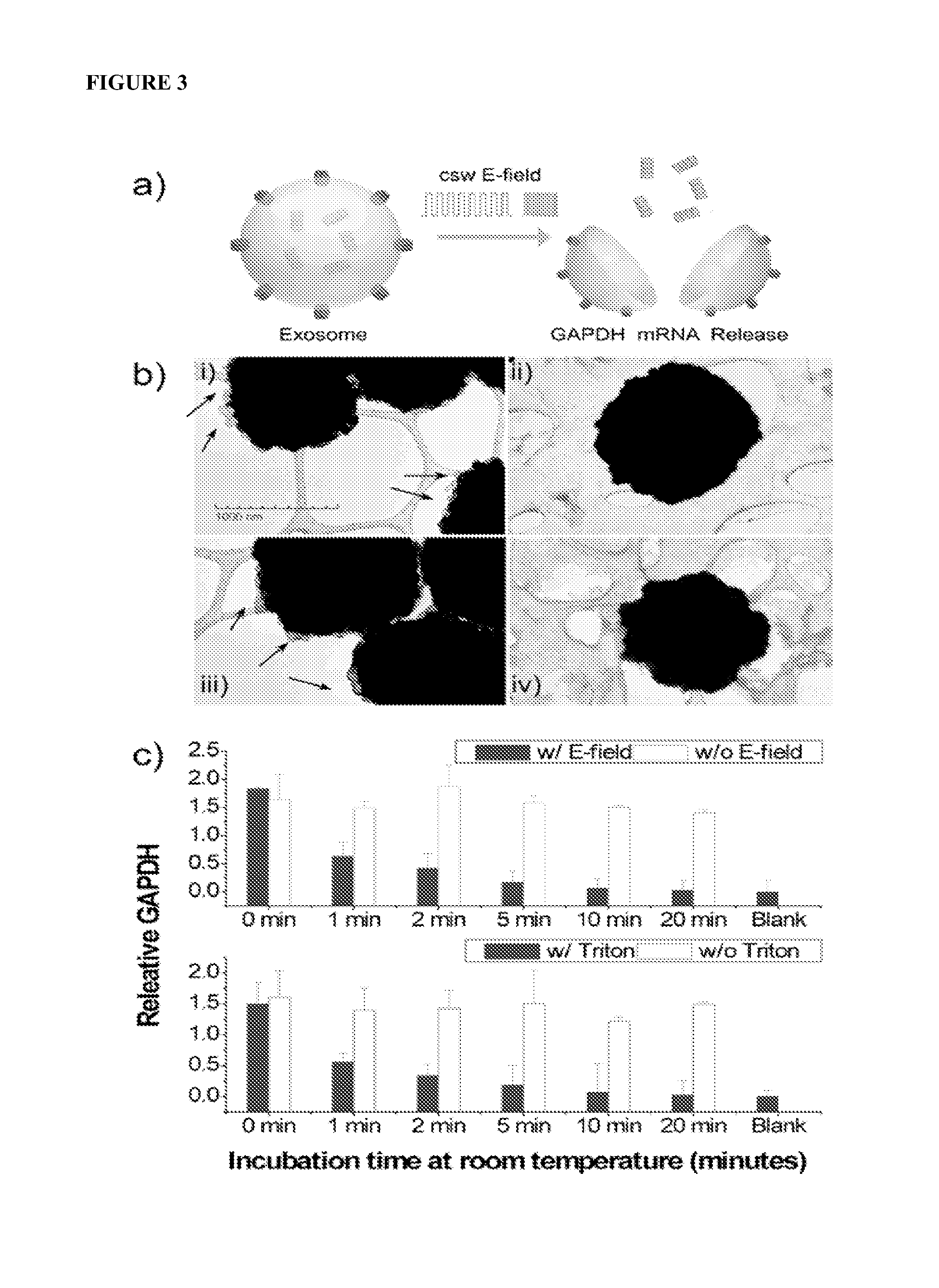 Method for exosomal biomarker detection by electric field-induced release and measurement