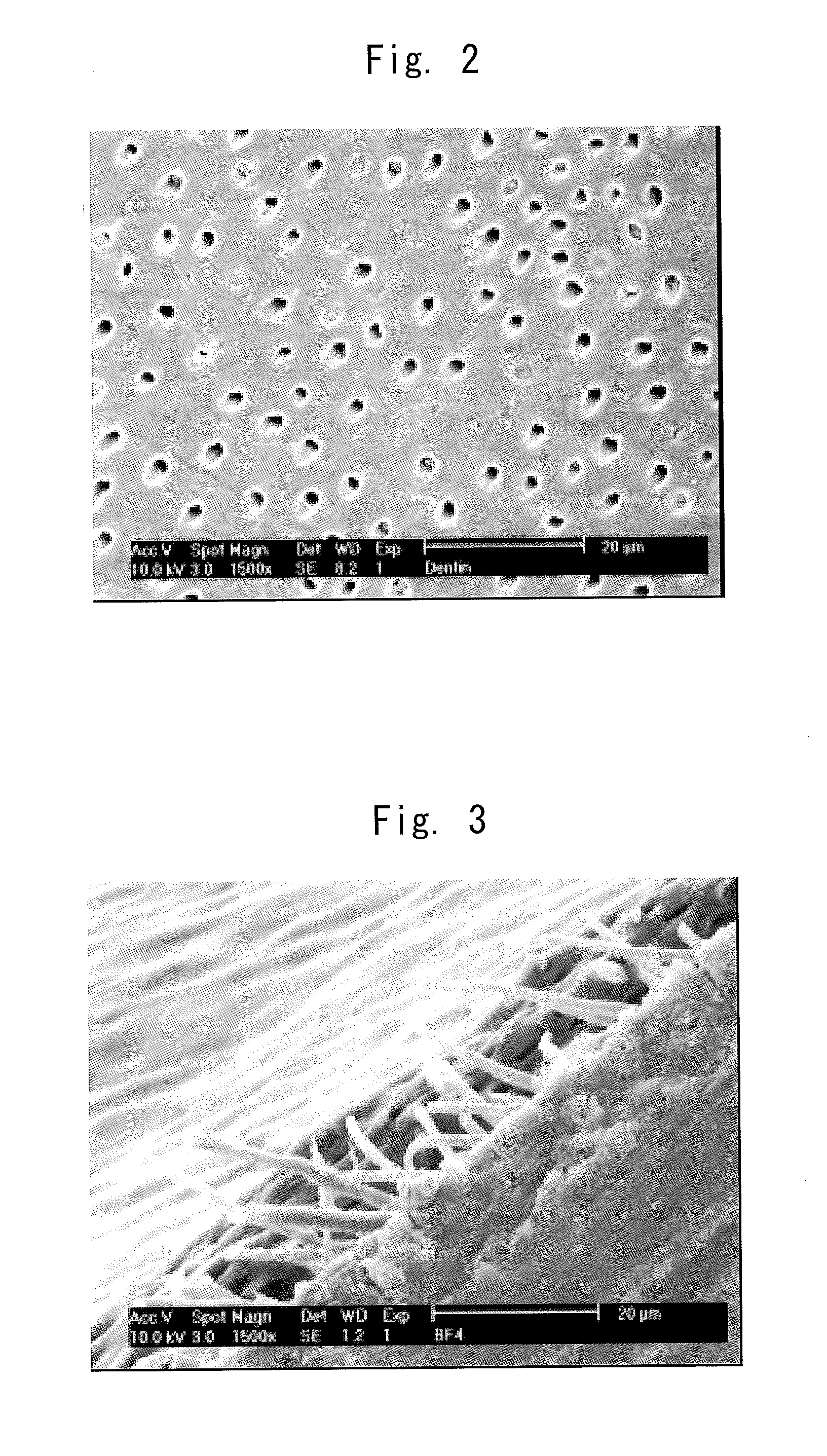 One-package type tooth surface coating material