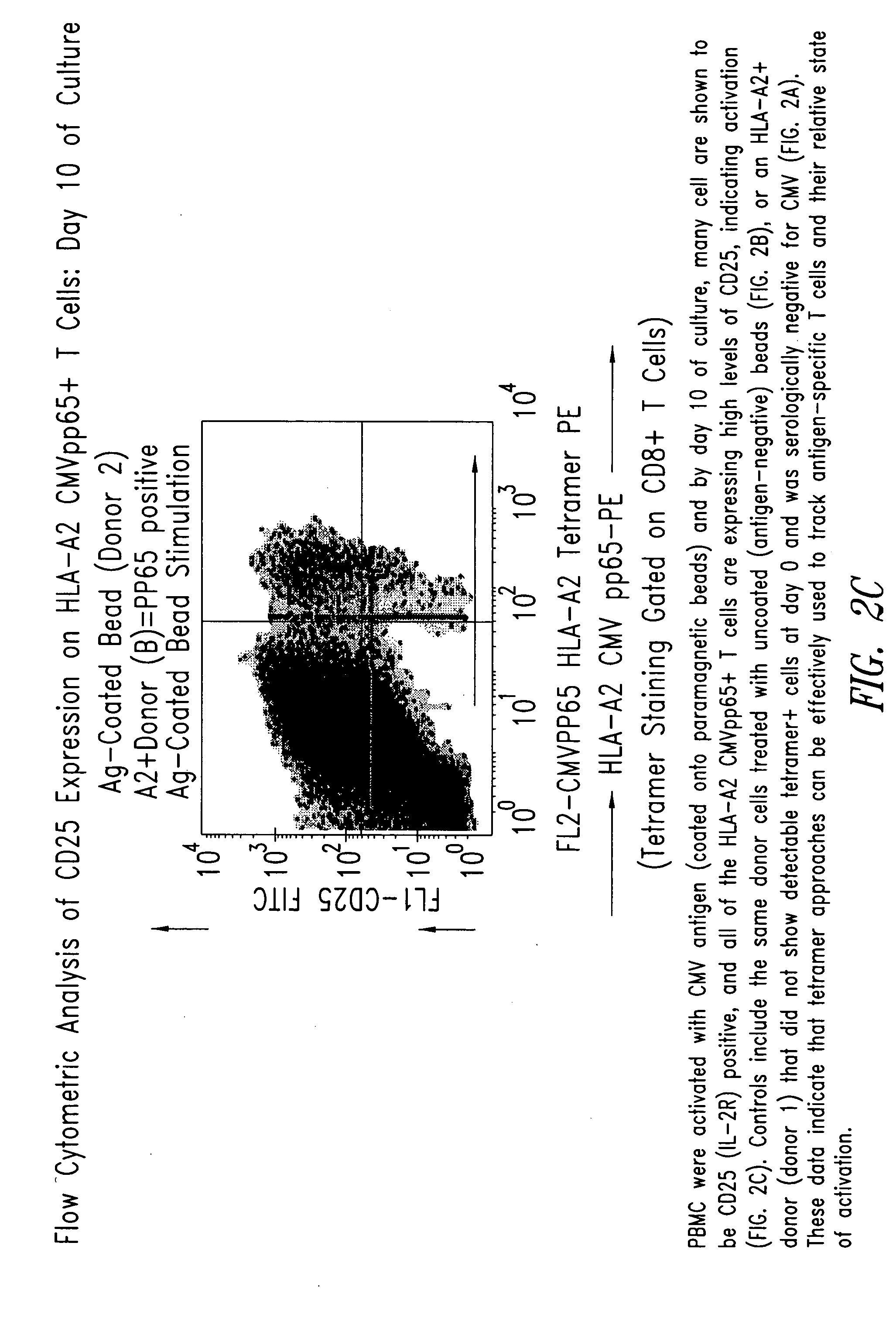 Compositions and methods for eliminating undesired subpopulations of T cells in patients with immunological defects related to autoimmunity and organ or hematopoietic stem cell transplantation