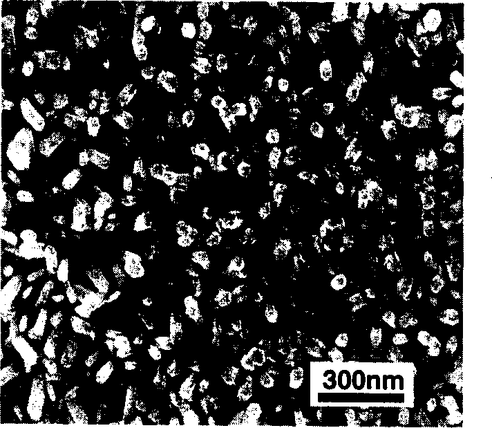 Oriented ZnO nanorod or nanowire film and preparation process thereof