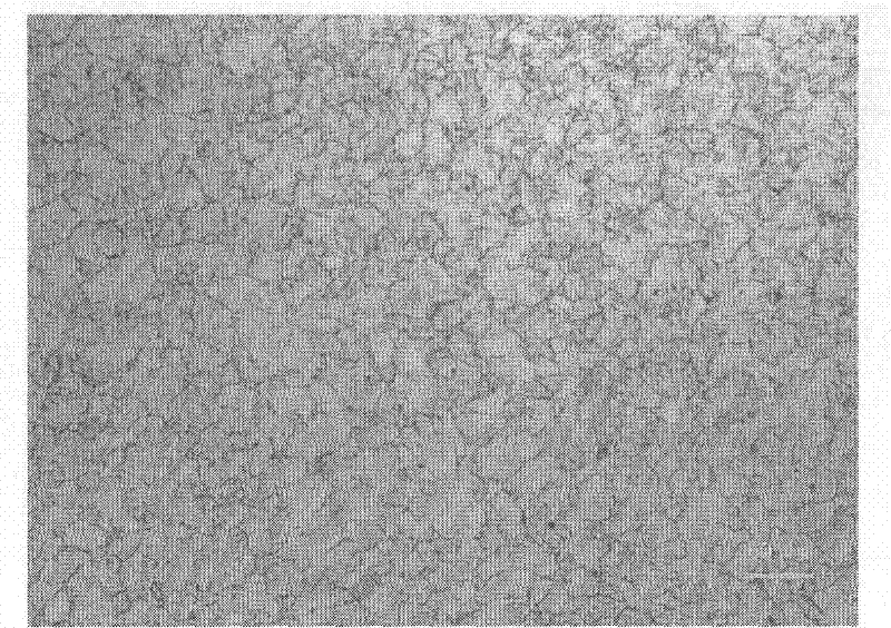 Method for displaying austenite grain boundary of low-carbon micro-alloy steel