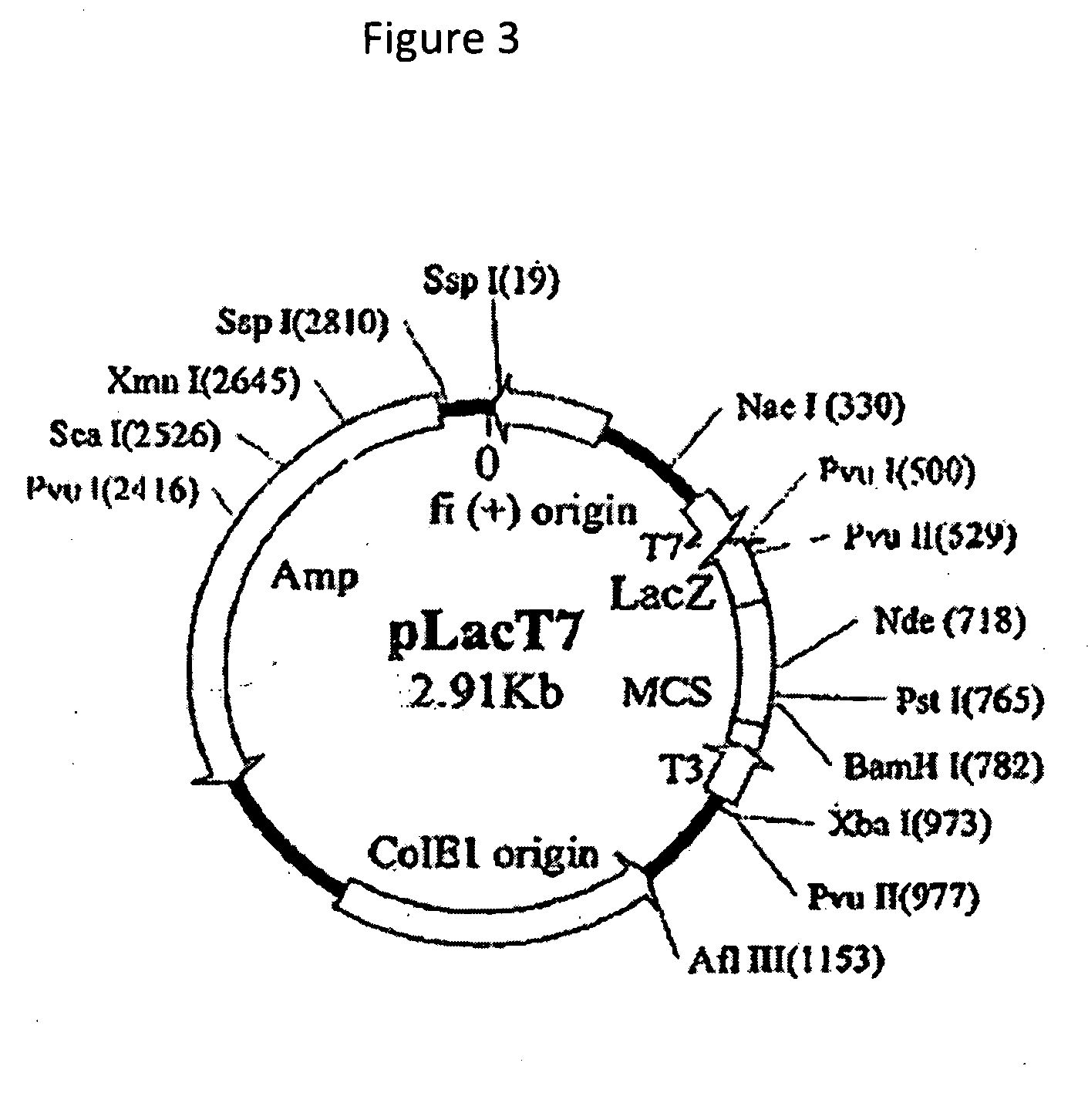 Uses of interferons with altered spatial structure