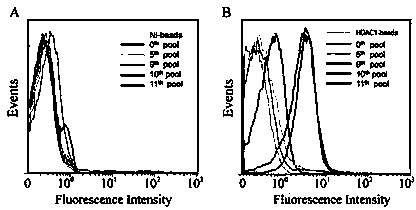 Set of HDACs nucleic acid aptamers