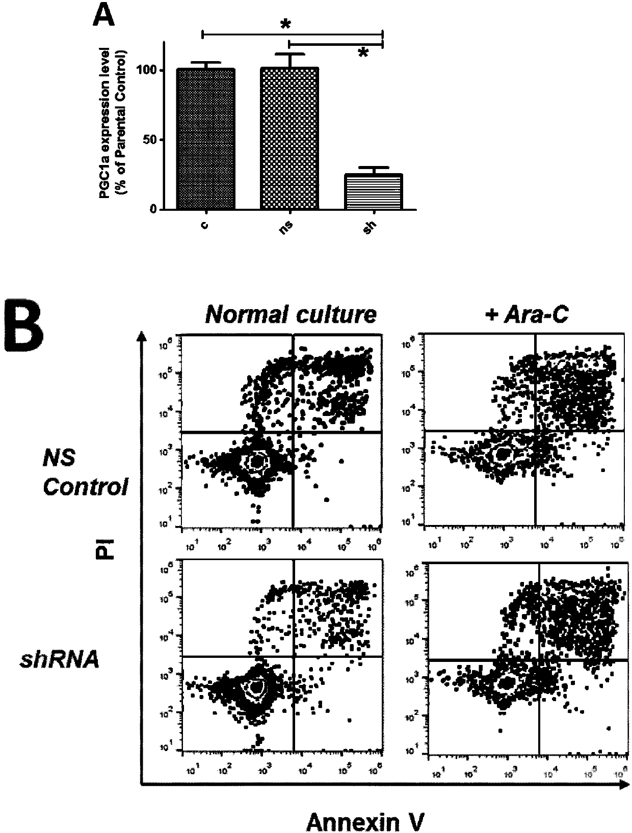 Application of PGC-1[alpha] specific RNA interfering adenovirus