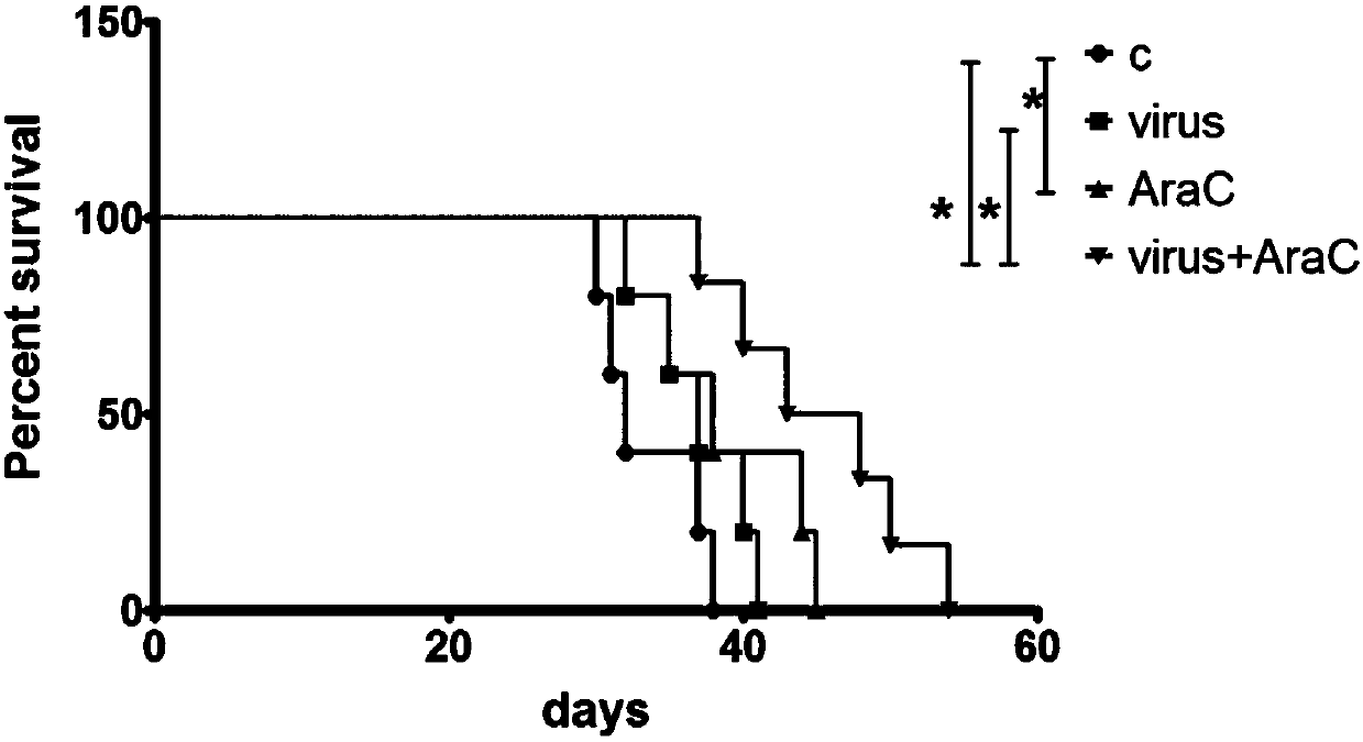 Application of PGC-1[alpha] specific RNA interfering adenovirus