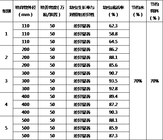 Open inflatable upwelling culture device for intermediate culture of bivalve mollusks and culture method thereof