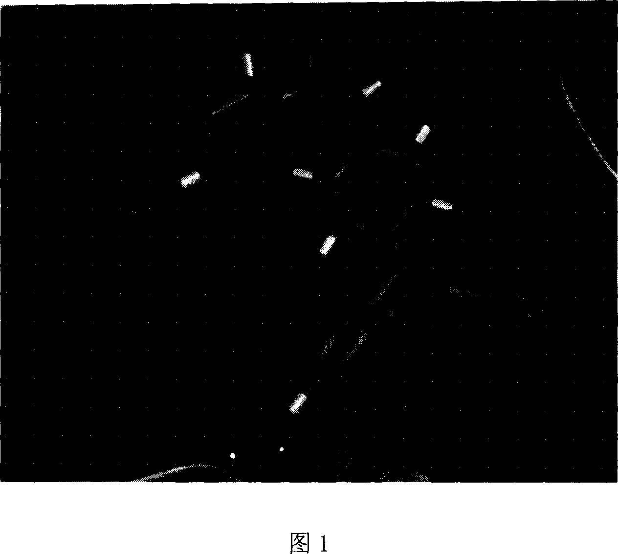 3CL protease inhibitor of non-peptide SARS coronavirus and use thereof