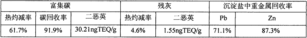 Sub-step flotation and detoxification method for incineration fly ash of medical garbage