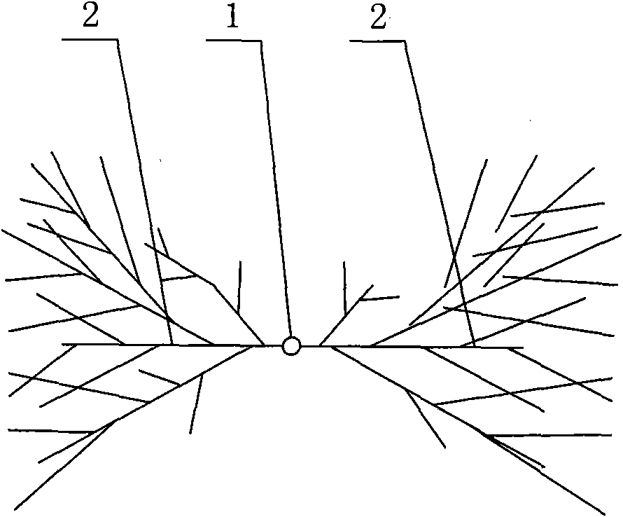 Y-shaped fruit tree and net rack for fixing branches of same