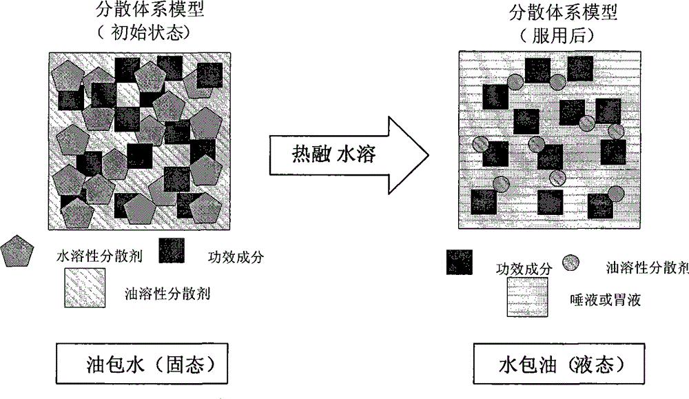 Health product oral fast-release preparation and production method thereof