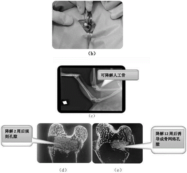 Ceramic matrix degradable artificial bone biomaterial for 3D printing