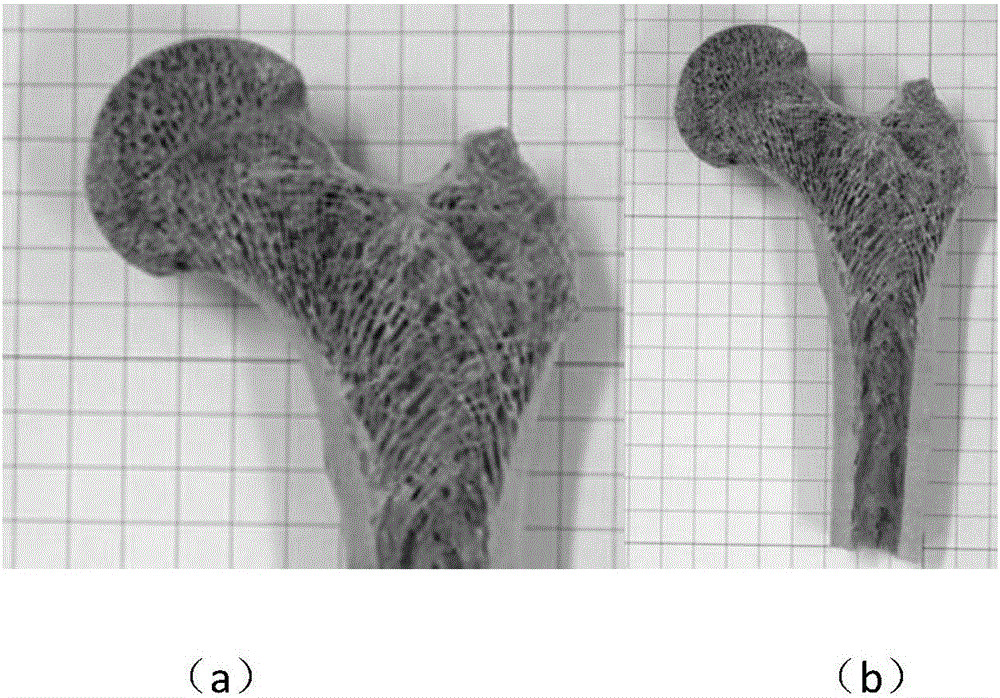 Ceramic matrix degradable artificial bone biomaterial for 3D printing