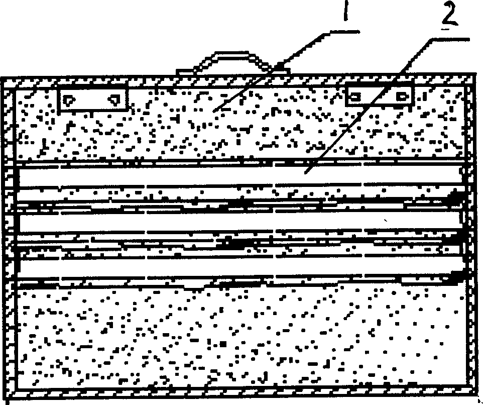 Method for preventing and treating aphid by artificial baiting eleven-star ladybug