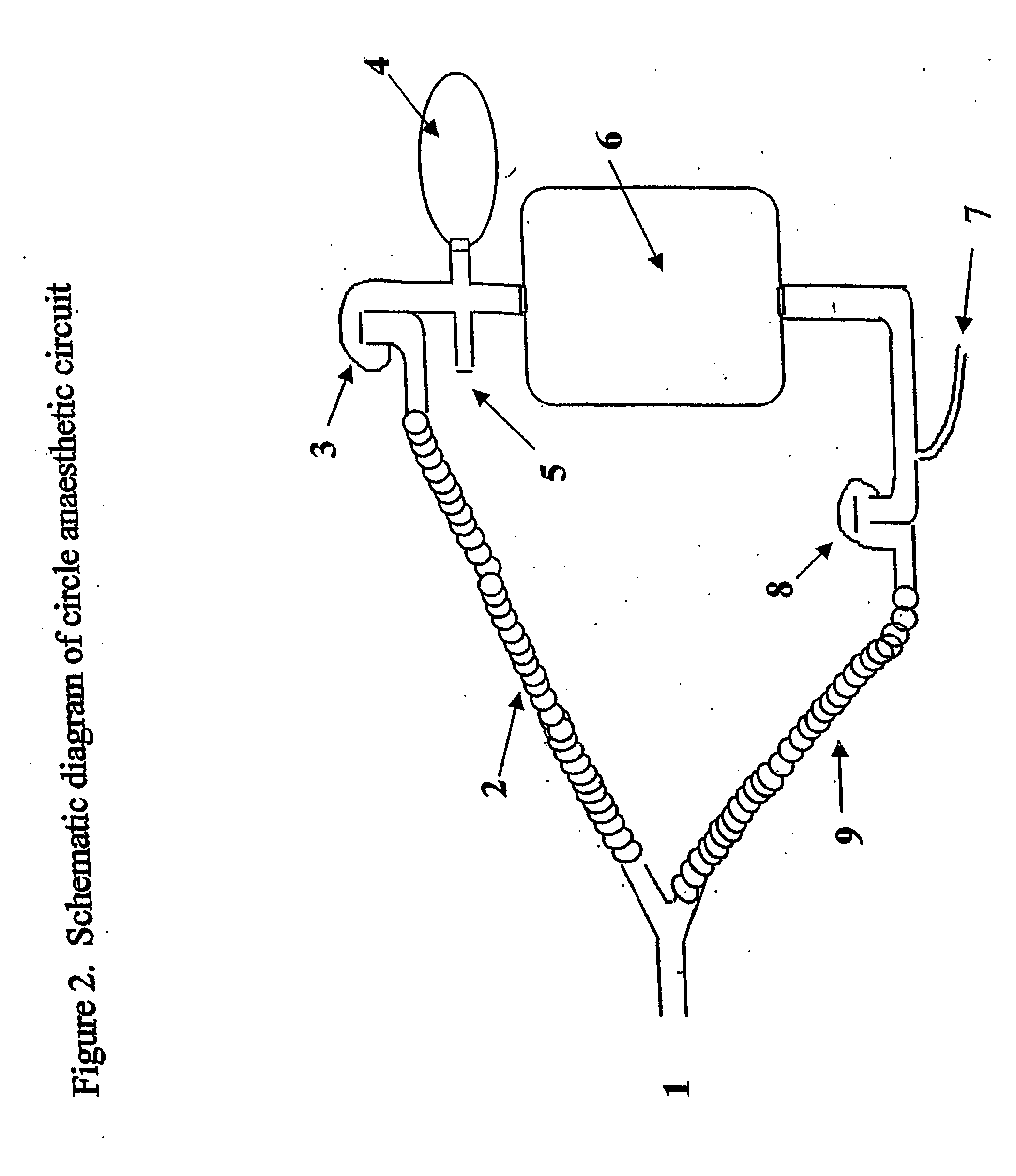 Method for continuous measurement of flux of gases in the lungs during breathing