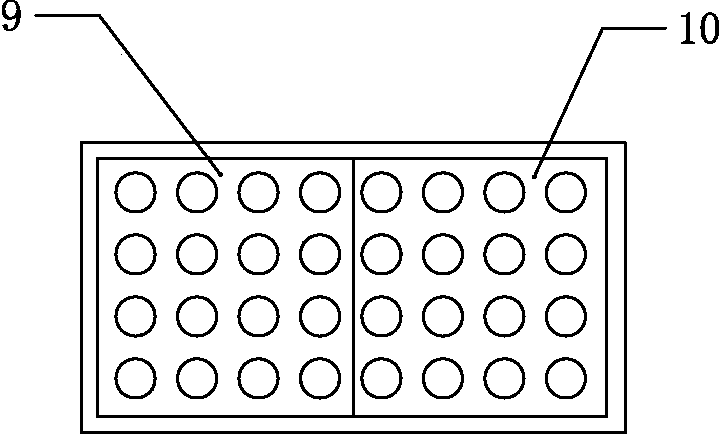 Washing and screening device for peanuts