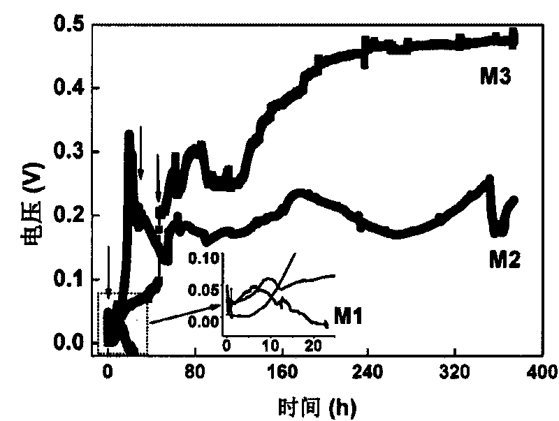 Fuel cell system and method of generating electricity and reducing heavy metal through sewage treatment