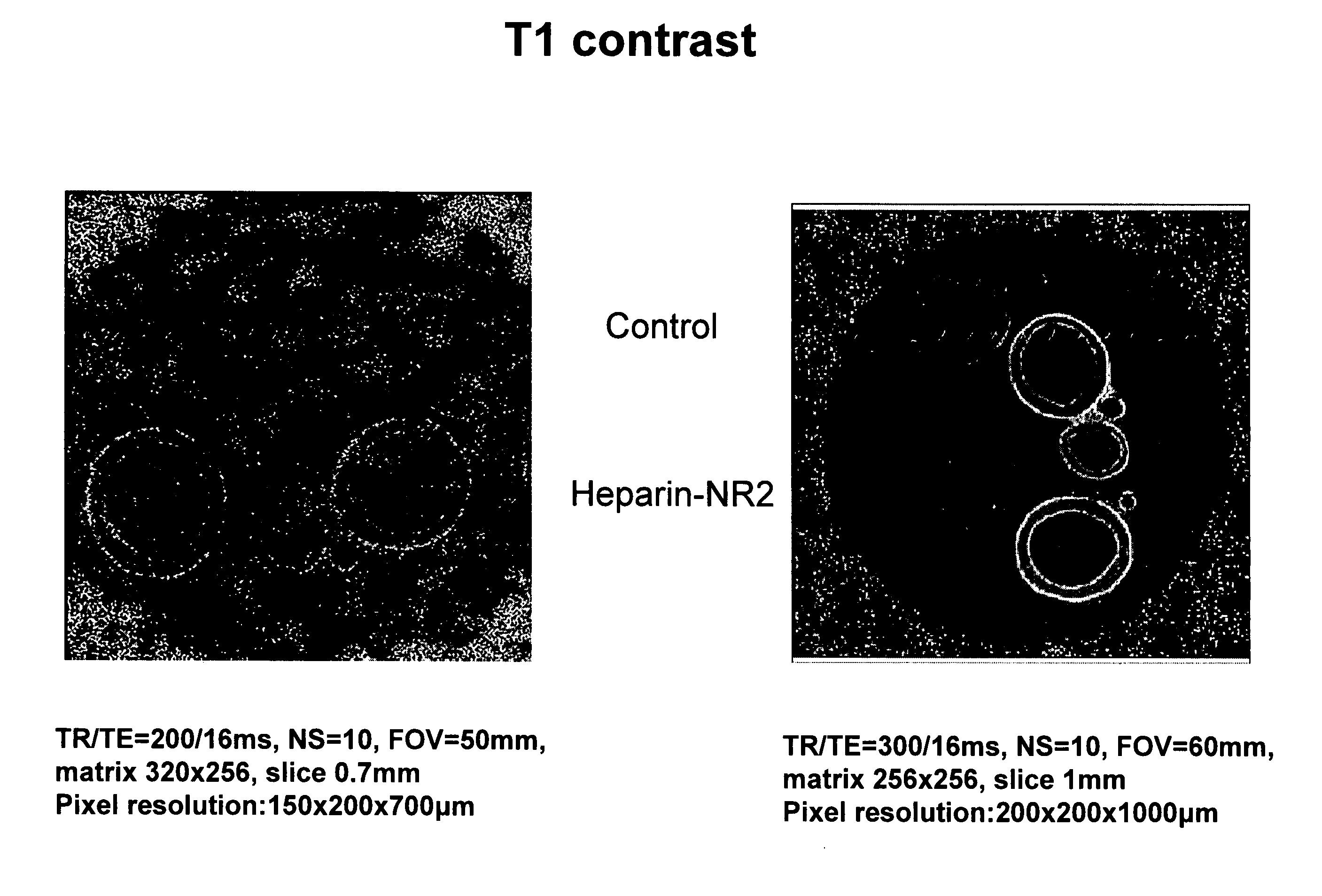 Antioxidant and paramagnetic heparin-nitroxide derivatives