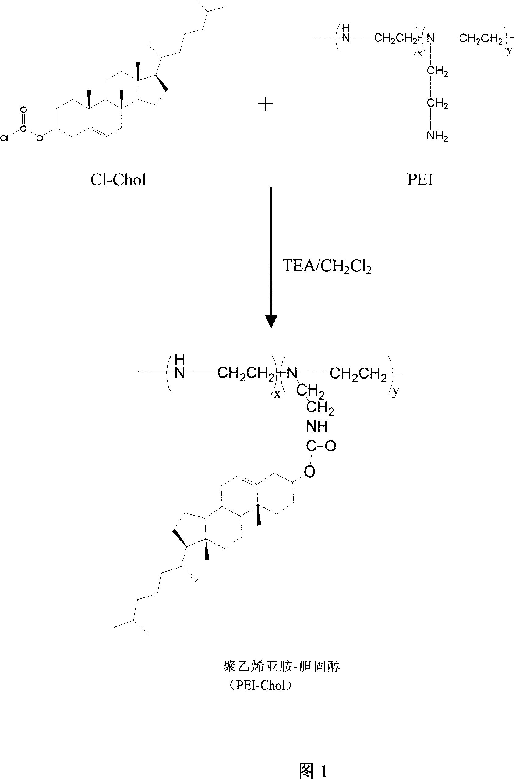 Polycation lipesome telomere enzyme antiseuse oligonucleotide complex and preparation