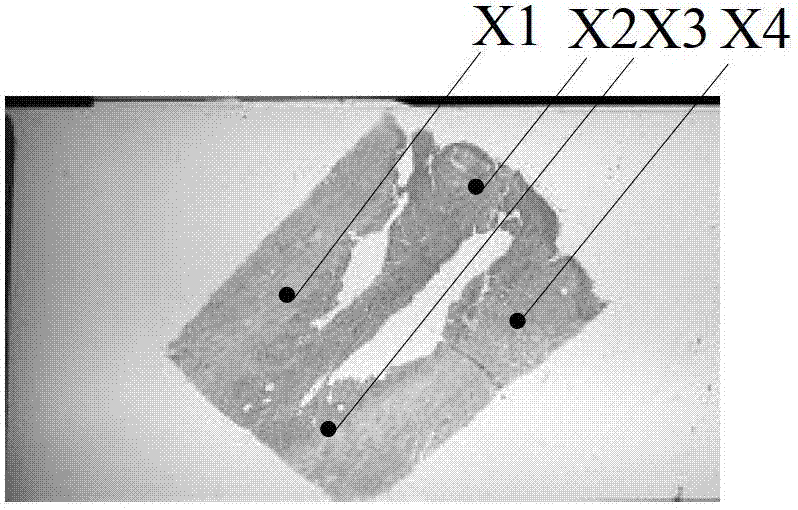 Image information processing method and device and image displaying method and device