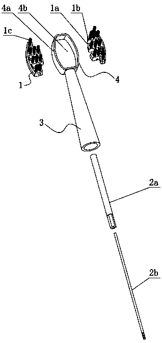 Electric double-head counter-rolling toothbrush head structure