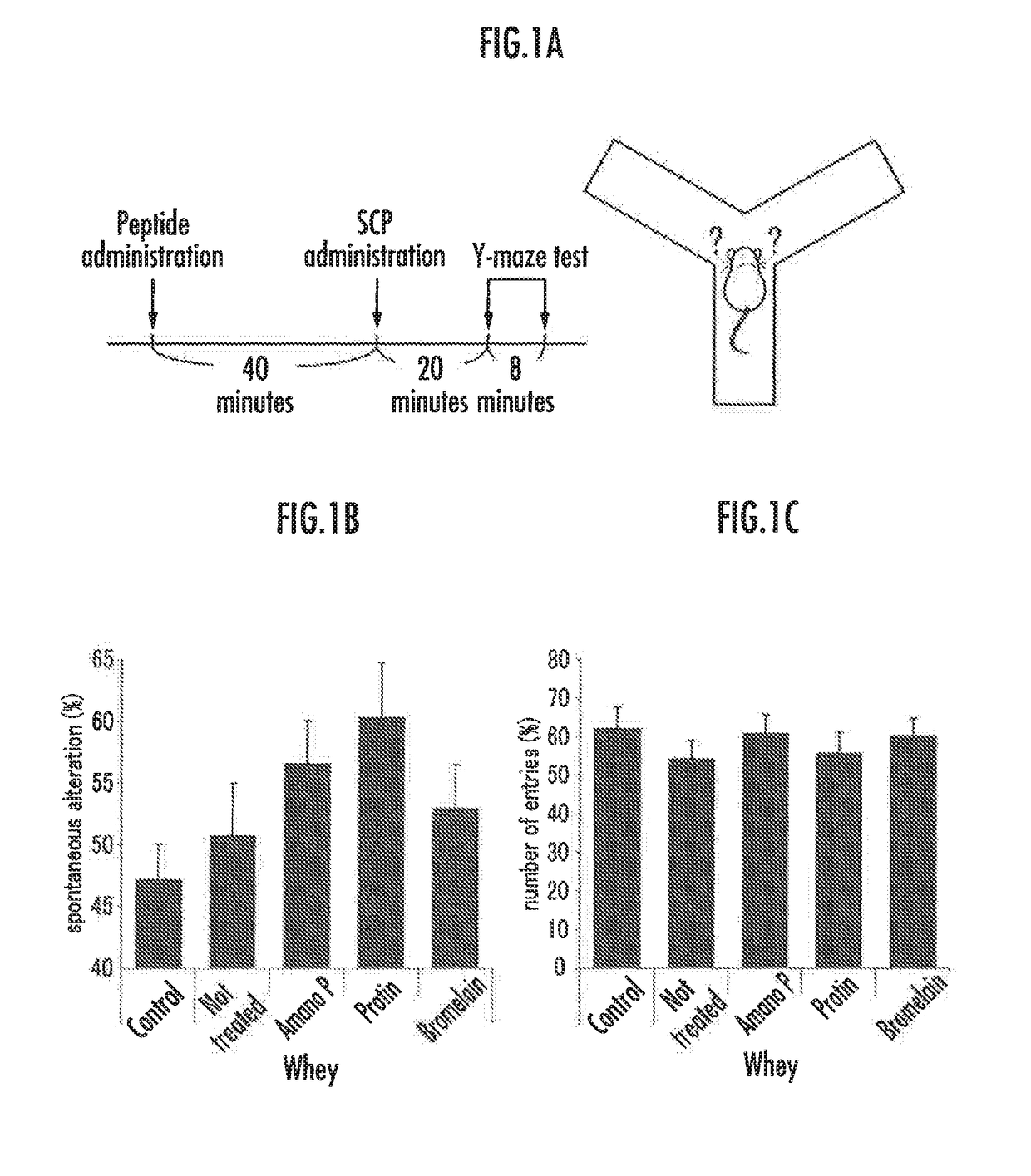 Composition for enhancing memory and learning function and/or cognitive function