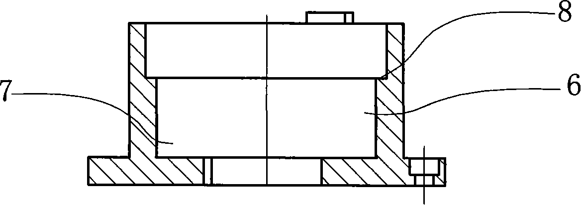 Multipolar magnetic shoe assembling device