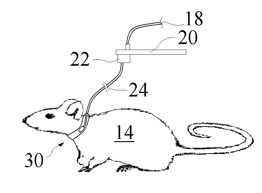 Noninvasive Photoplethysmographic Sensor Platform for Mobile Animals