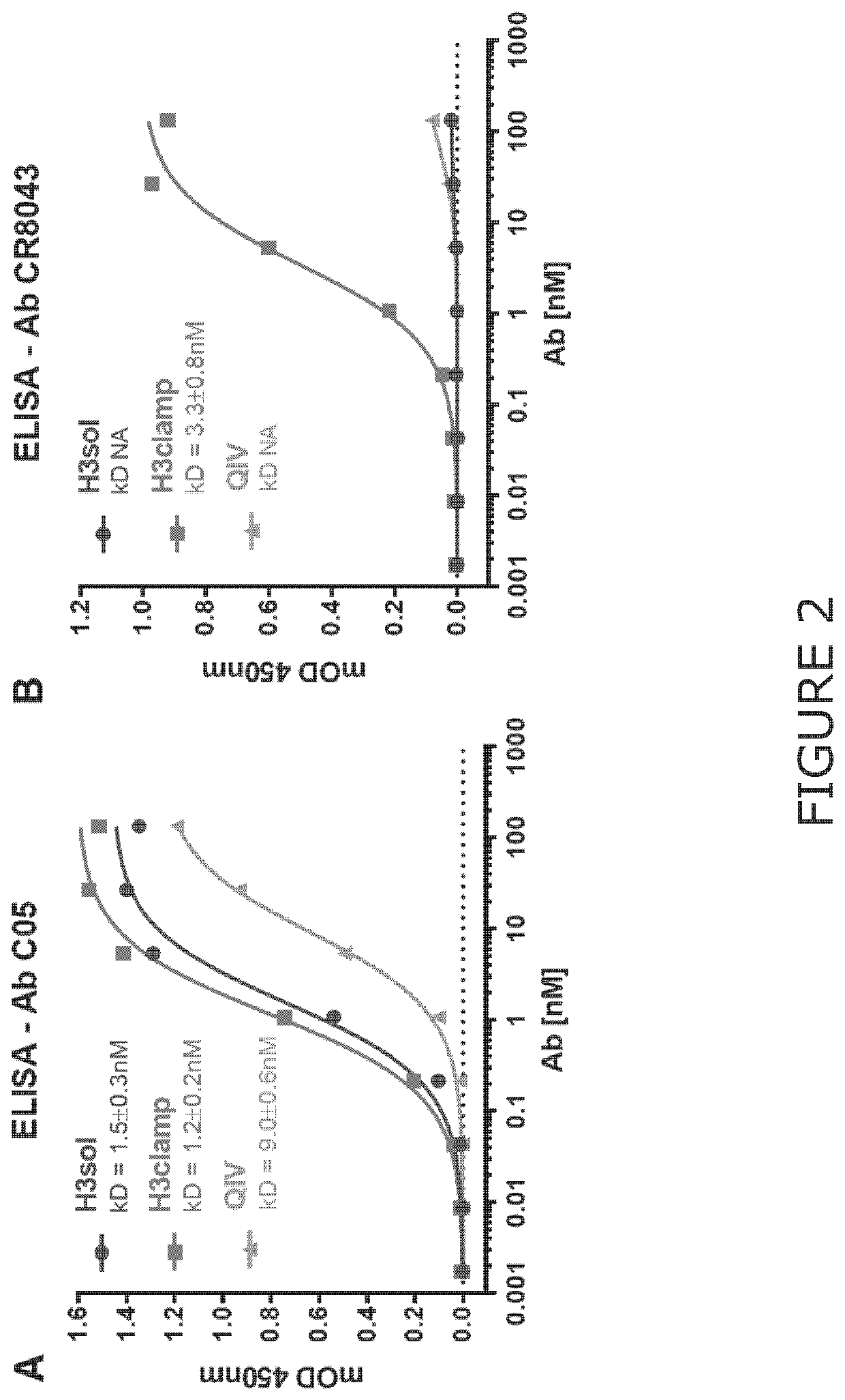 Chimeric molecules and uses thereof