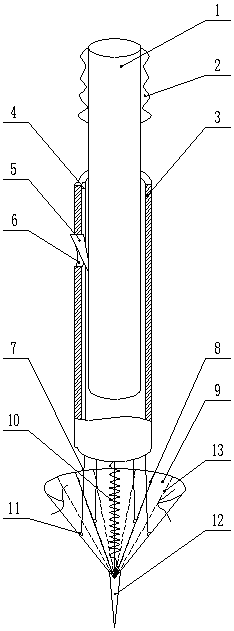 A hole puncher for vegetable transplanting