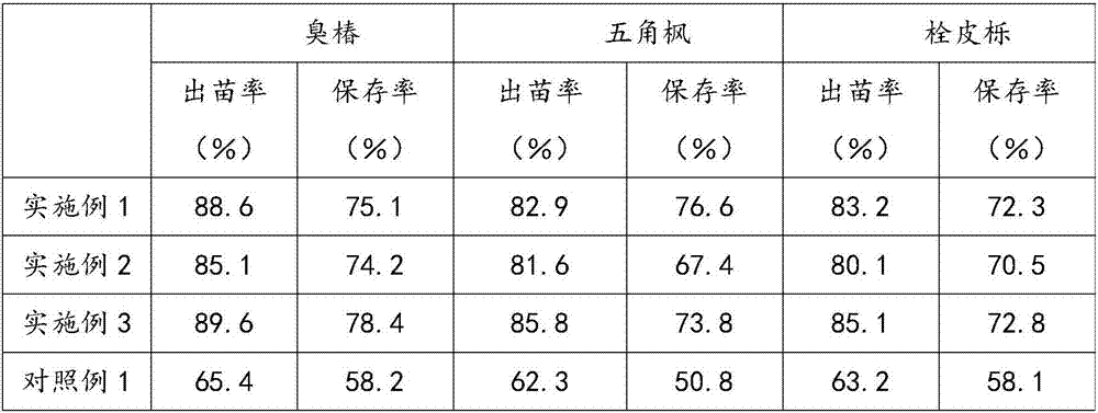 Seed vegetation block matrix suitable for arid stony mountainous area and preparation method thereof