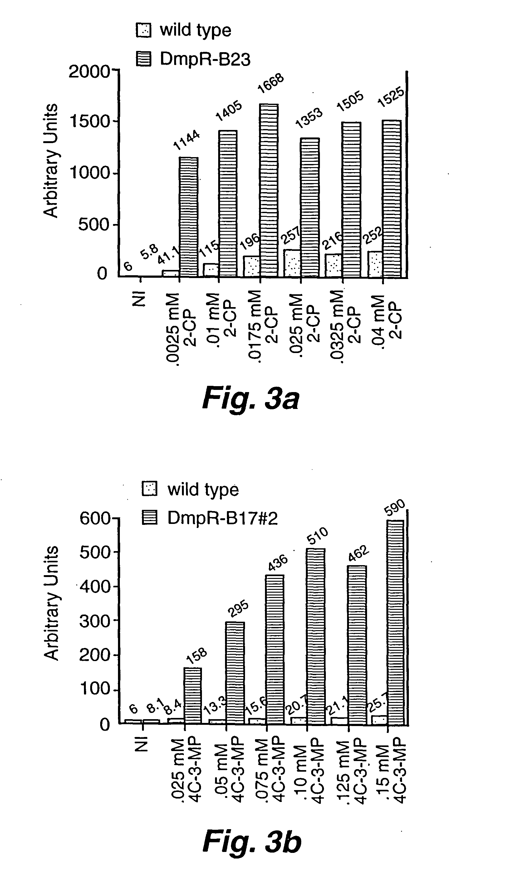 Detection of phenols using engineered bacteria