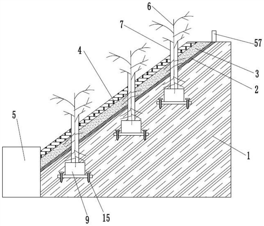 Water and soil loss prevention slope protection structure for planting plants on slope