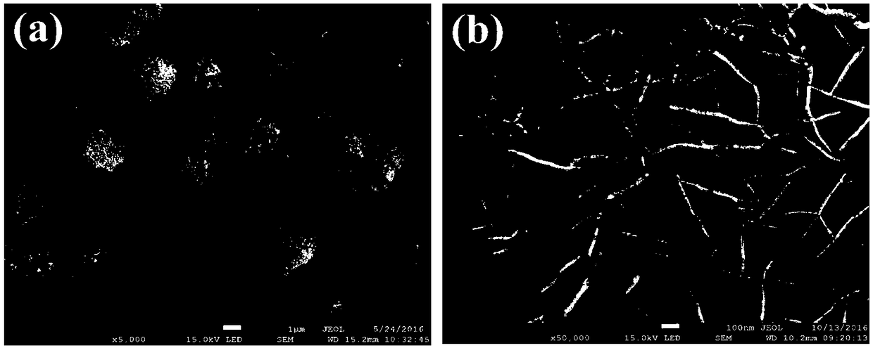 Preparation method and application of hydrated basic zinc pyrovanadate (Zn3V2O7(OH)2.2H2O) material