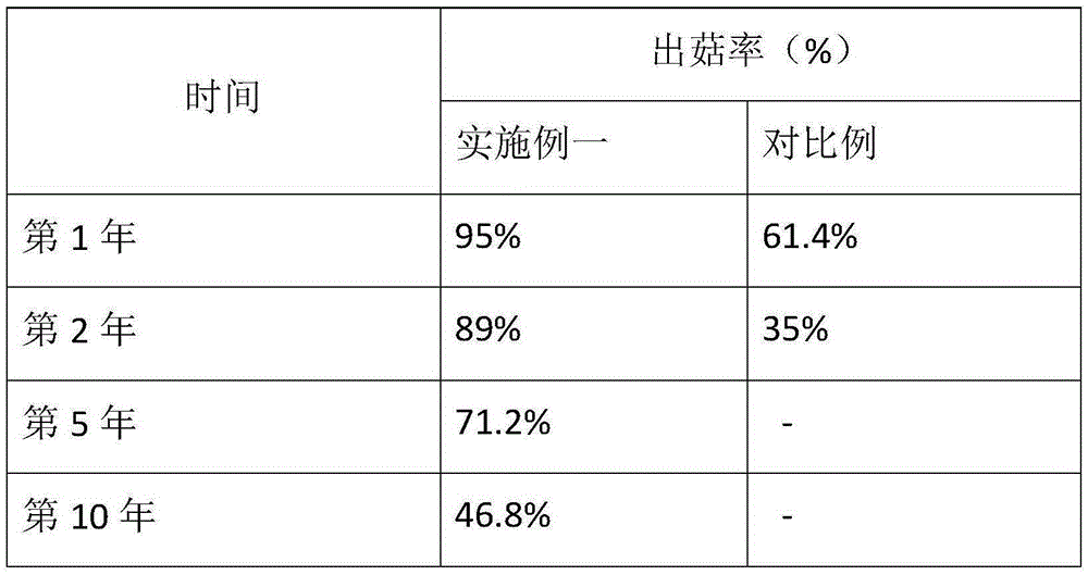 Hypsizygus marmoreus strain medium and preparation method thereof