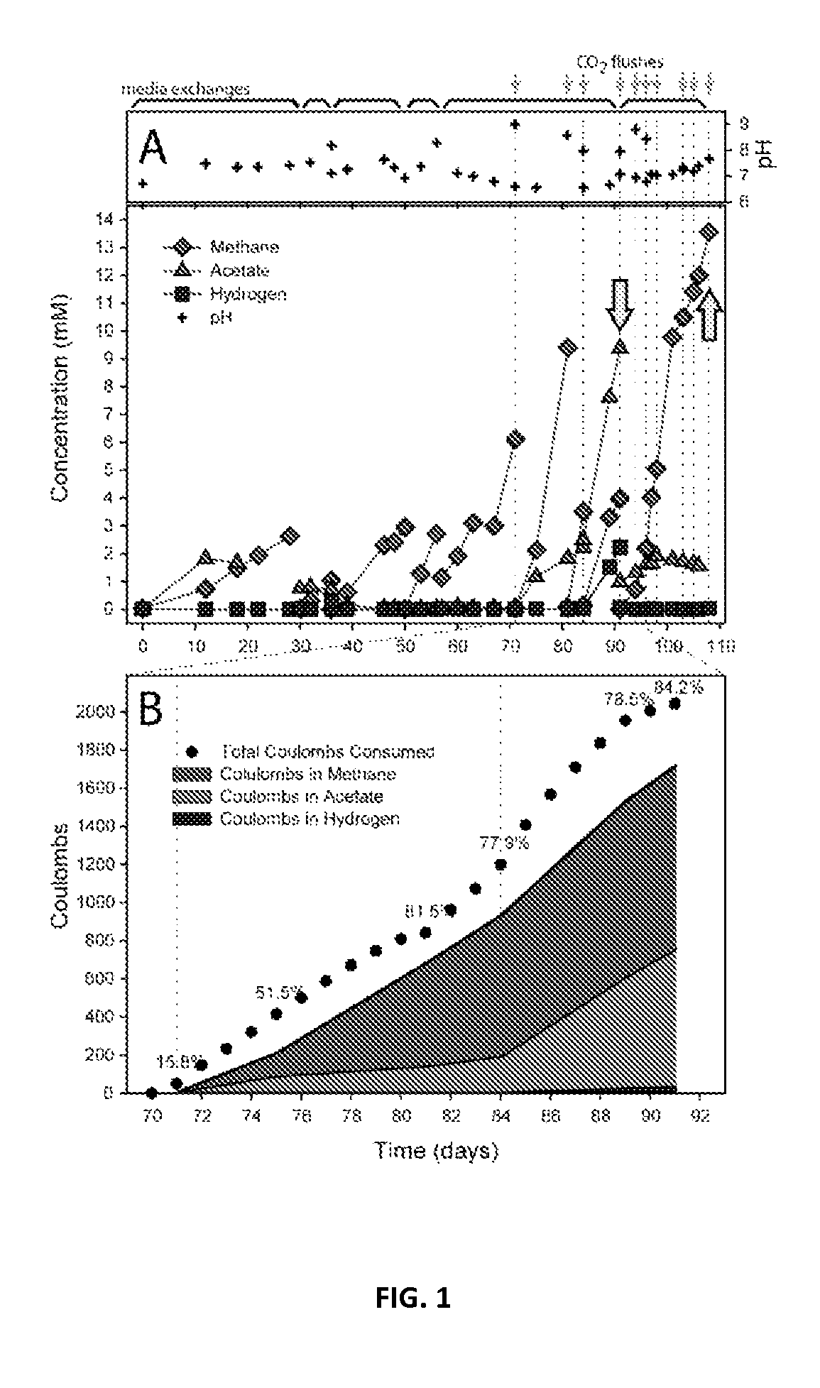 Microbial electrosynthetic cells