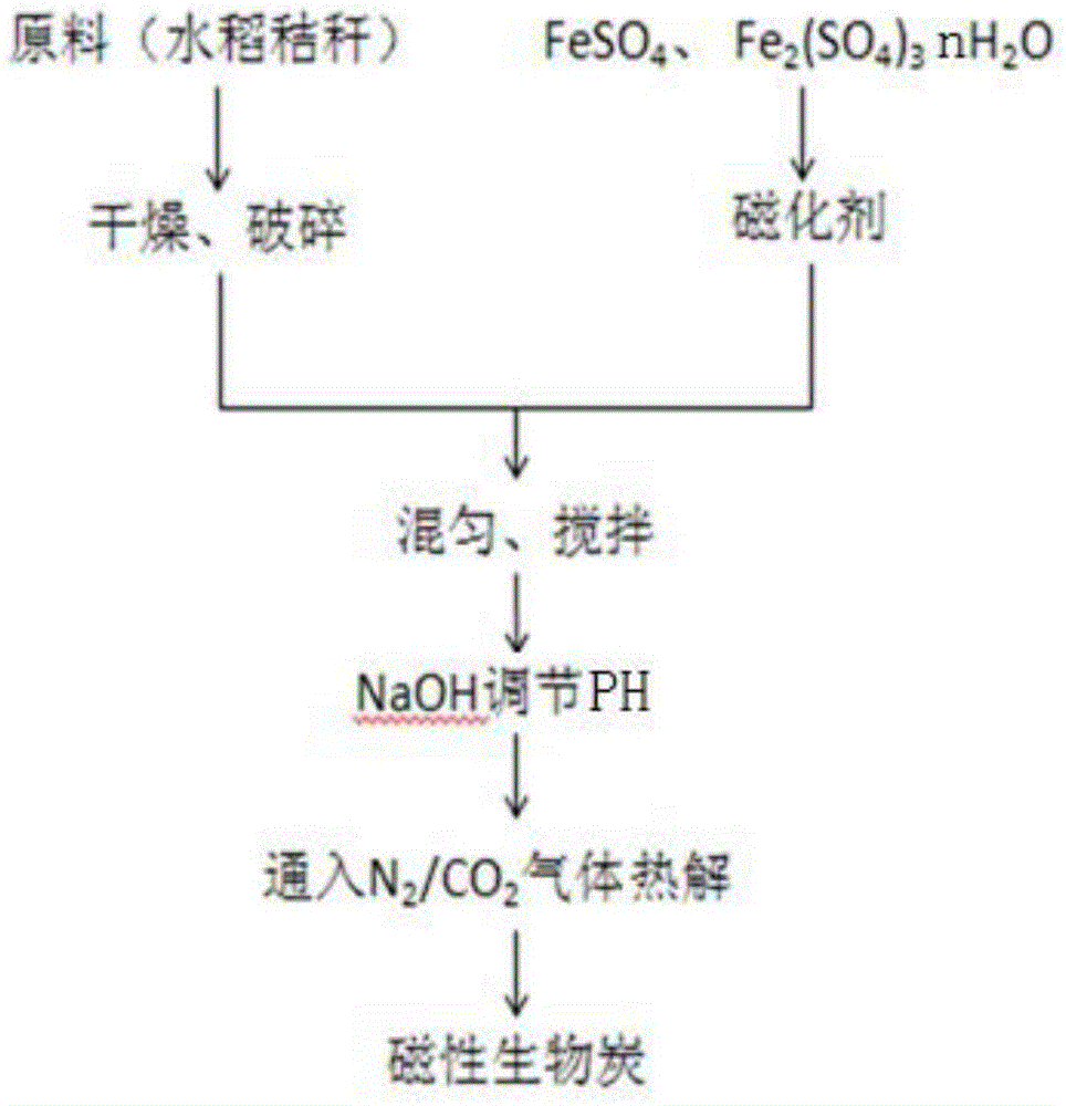 Preparation method for magnetic biological carbon by one-step synthesis