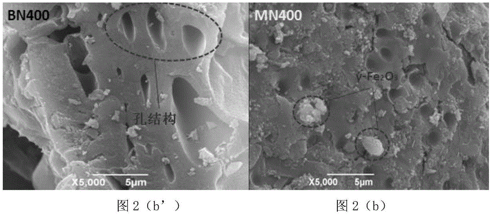 Preparation method for magnetic biological carbon by one-step synthesis