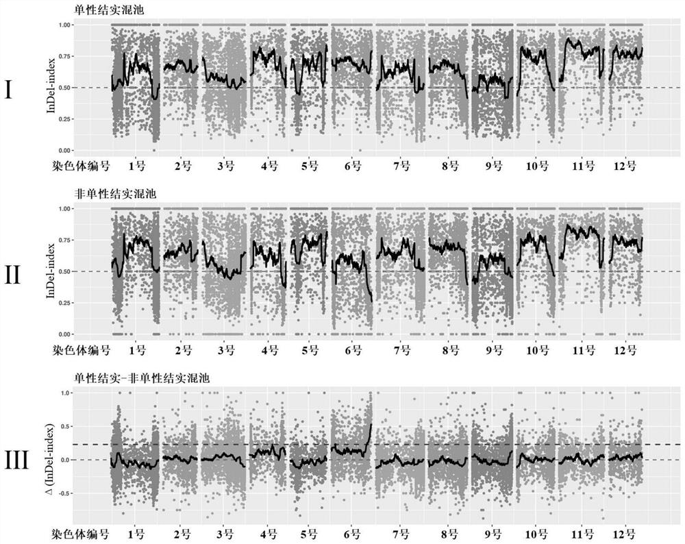 Primer pair for identifying eggplant dominant parthenocarpy gene by using InDel molecular marker and application of primer pair