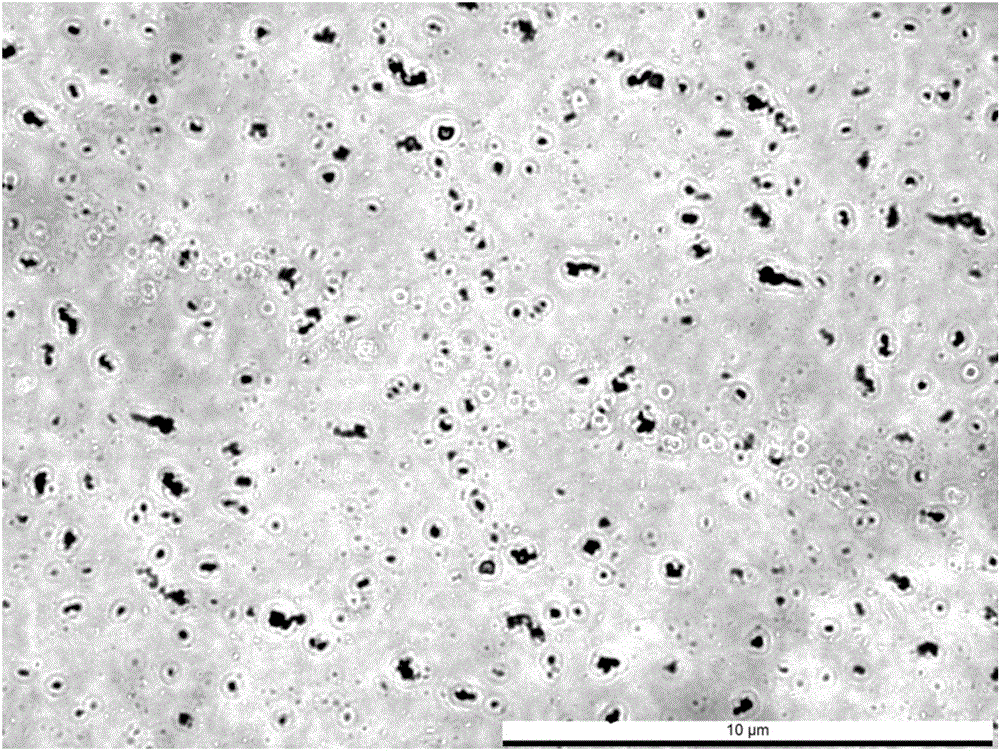 Method for rapidly and efficiently separating individual antigen specific cell B