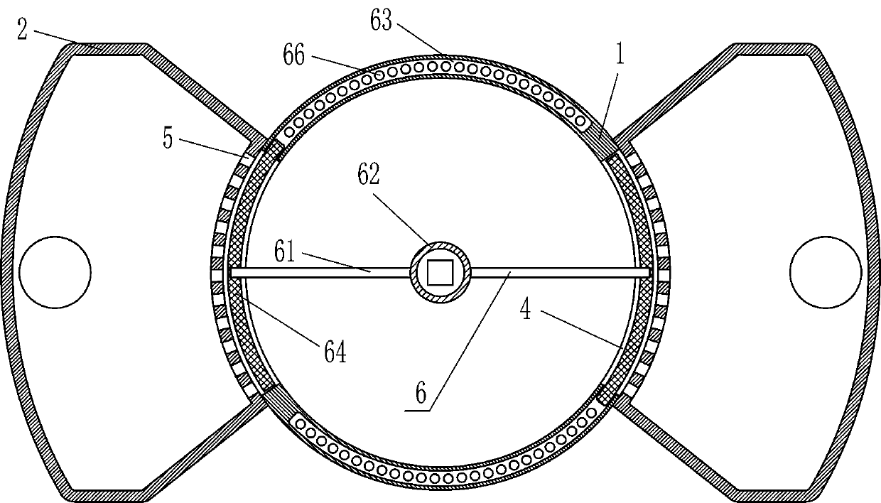 Induction-type fry sorting device