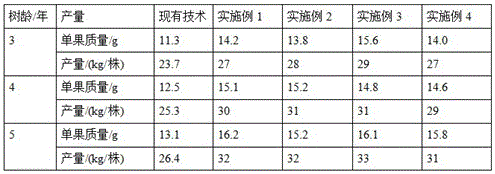 High-yield planting method of dimocarpus longan fruit trees