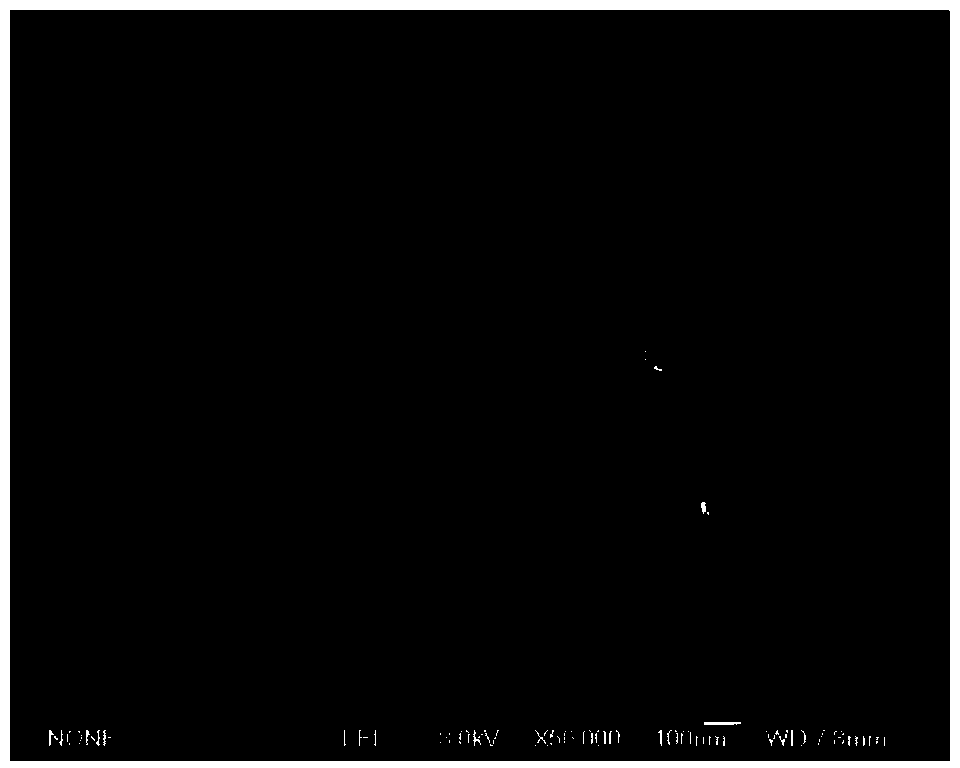 Multi-hydrogen-bond melamine core-shell molecularly imprinted polymer and preparation method thereof