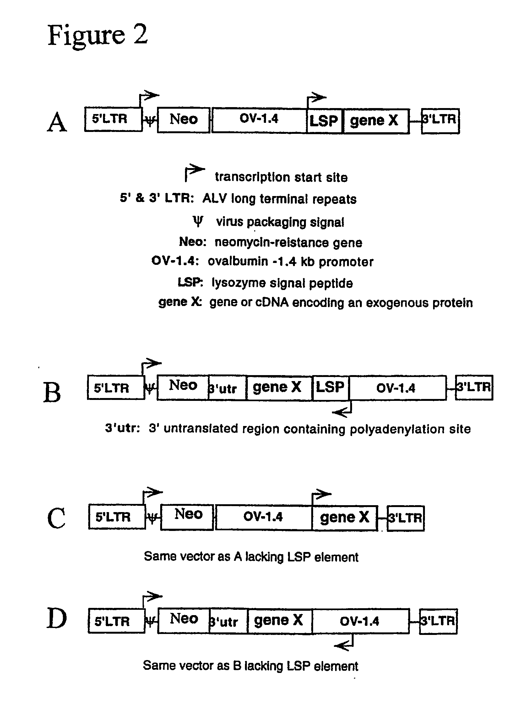 Glycosylated interferon alpha