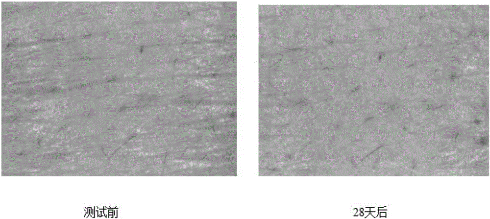 Anti-ageing composition comprising myrothamnus flabellifolia extract and preparation method thereof