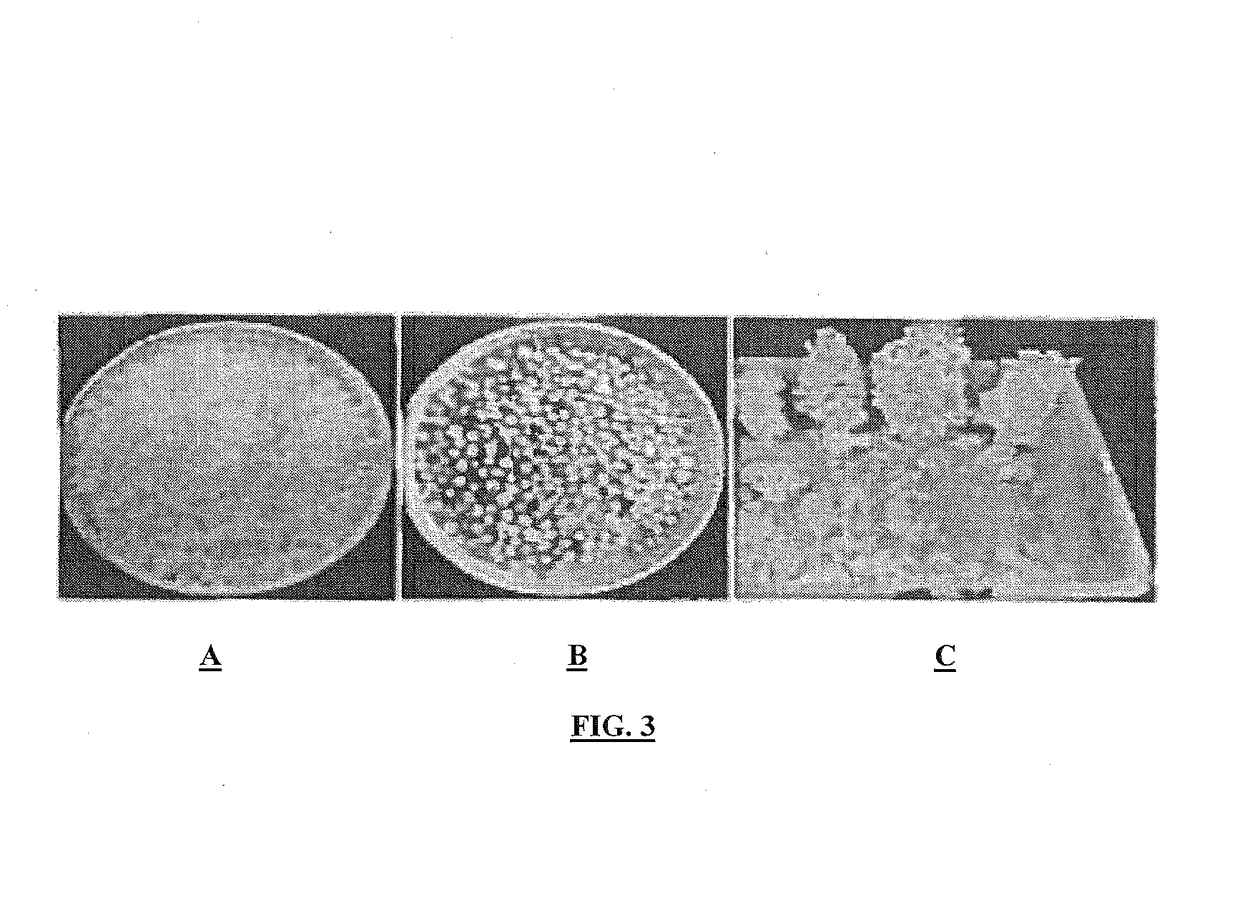 Nitrification inhibitor compositions and methods for preparing the same