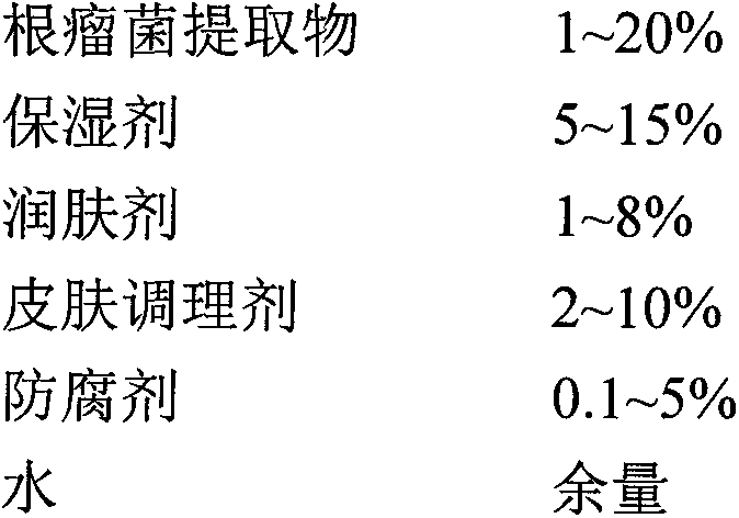 Anti-aging essence containing rhizobium extract and preparation method thereof