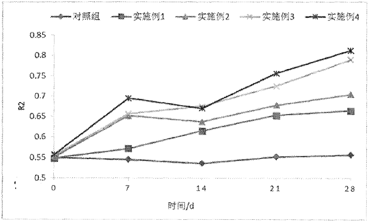 Anti-aging essence containing rhizobium extract and preparation method thereof